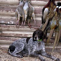 2002 Hunt-cabin