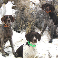 2003 winter hunt