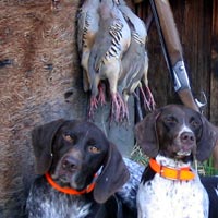 2004 1st season hunt