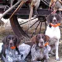 2004 2nd season hunt